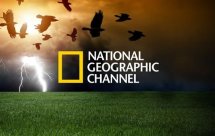 Канал National Geographic онлайн с хорошем качестве