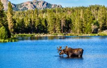 National Geographic. Дикая природа Америки (Untamed Americas)