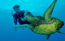 National Geographic. Море надежды. Подводные сокровища Америки (Sea of Hope. America's Underwater Treasures)