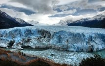 National Geographic. Дикая природа Аргентины. Убийственное побережье (Wild Argentina. The Killer Coast)